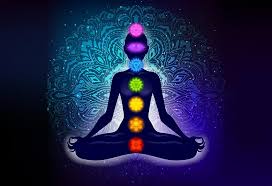 Pet Reiki session in Portland, Maine